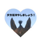 ちぇい組（個別スタンプ：18）