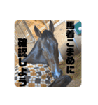 ちぇい組（個別スタンプ：20）
