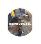 ちぇい組（個別スタンプ：22）
