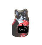 バセットとネコとデン（個別スタンプ：7）