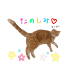 ねこ 猫 にゃんこ レモンの日常会話（個別スタンプ：6）
