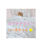 ねこ 猫 にゃんこ レモンの日常会話（個別スタンプ：10）