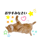 ねこ 猫 にゃんこ レモンの日常会話（個別スタンプ：11）