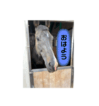 イナズマ（個別スタンプ：10）