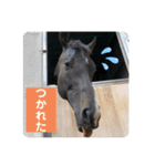 イナズマ（個別スタンプ：11）