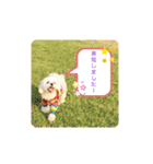 ゴハスタンプ②〜時々ウサギ〜（個別スタンプ：2）