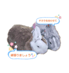 ゴハスタンプ②〜時々ウサギ〜（個別スタンプ：10）