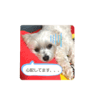 ゴハスタンプ②〜時々ウサギ〜（個別スタンプ：13）