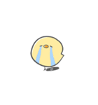 ひよこ (便利)（個別スタンプ：16）