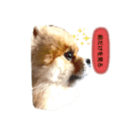 レオの日常1（個別スタンプ：7）