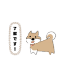 柴犬むぅたんの日常会話スタンプ（個別スタンプ：2）