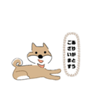 柴犬むぅたんの日常会話スタンプ（個別スタンプ：3）