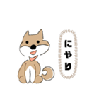 柴犬むぅたんの日常会話スタンプ（個別スタンプ：6）
