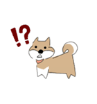 柴犬むぅたんの日常会話スタンプ（個別スタンプ：7）