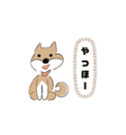柴犬むぅたんの日常会話スタンプ（個別スタンプ：8）
