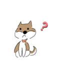 柴犬むぅたんの日常会話スタンプ（個別スタンプ：9）