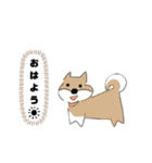 柴犬むぅたんの日常会話スタンプ（個別スタンプ：10）