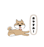 柴犬むぅたんの日常会話スタンプ（個別スタンプ：11）