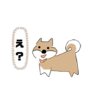 柴犬むぅたんの日常会話スタンプ（個別スタンプ：13）