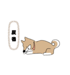 柴犬むぅたんの日常会話スタンプ（個別スタンプ：14）