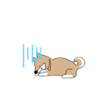 柴犬むぅたんの日常会話スタンプ（個別スタンプ：16）