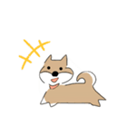 柴犬むぅたんの日常会話スタンプ（個別スタンプ：18）