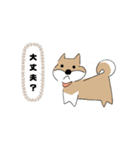 柴犬むぅたんの日常会話スタンプ（個別スタンプ：20）