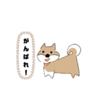 柴犬むぅたんの日常会話スタンプ（個別スタンプ：23）