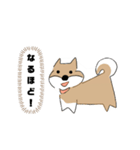 柴犬むぅたんの日常会話スタンプ（個別スタンプ：26）