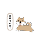 柴犬むぅたんの日常会話スタンプ（個別スタンプ：28）