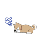 柴犬むぅたんの日常会話スタンプ（個別スタンプ：29）