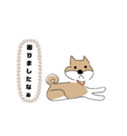 柴犬むぅたんの日常会話スタンプ（個別スタンプ：30）