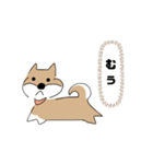 柴犬むぅたんの日常会話スタンプ（個別スタンプ：31）