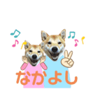 愉快なタロのスタンプ（個別スタンプ：13）