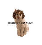 うちの猫でよろしければ（個別スタンプ：9）
