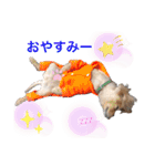クウタ＆Family（個別スタンプ：1）