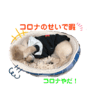 クウタ＆Family（個別スタンプ：3）
