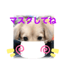 クウタ＆Family（個別スタンプ：5）