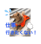 クウタ＆Family（個別スタンプ：8）