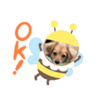 クウタ＆Family（個別スタンプ：16）