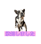 ももとみみ（個別スタンプ：13）