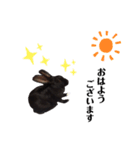 かわいいころちゃん3（個別スタンプ：1）