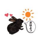 かわいいころちゃん3（個別スタンプ：2）