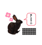 かわいいころちゃん3（個別スタンプ：9）
