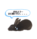 かわいいころちゃん3（個別スタンプ：16）