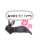 かわいいころちゃん3（個別スタンプ：20）