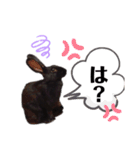 かわいいころちゃん3（個別スタンプ：25）