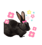かわいいころちゃん3（個別スタンプ：32）