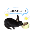 かわいいころちゃん3（個別スタンプ：35）