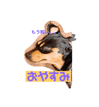 ジルちゃんとロン君のスタンプ（個別スタンプ：2）